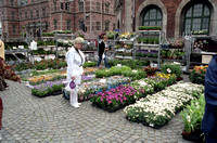 Helsingor flower market