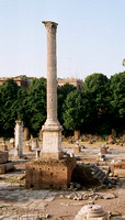 Roman Forum - Column of Phocas