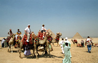 Camel Ride-6