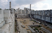 Didyma - Temple of Apollo 7