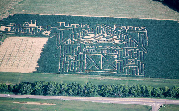 Turpin Farms Maize 7,17,03 HCD