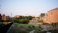 Roman Forum-2