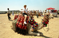 Camel Ride-7