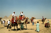 Camel Ride-5 (Epson Scanner)